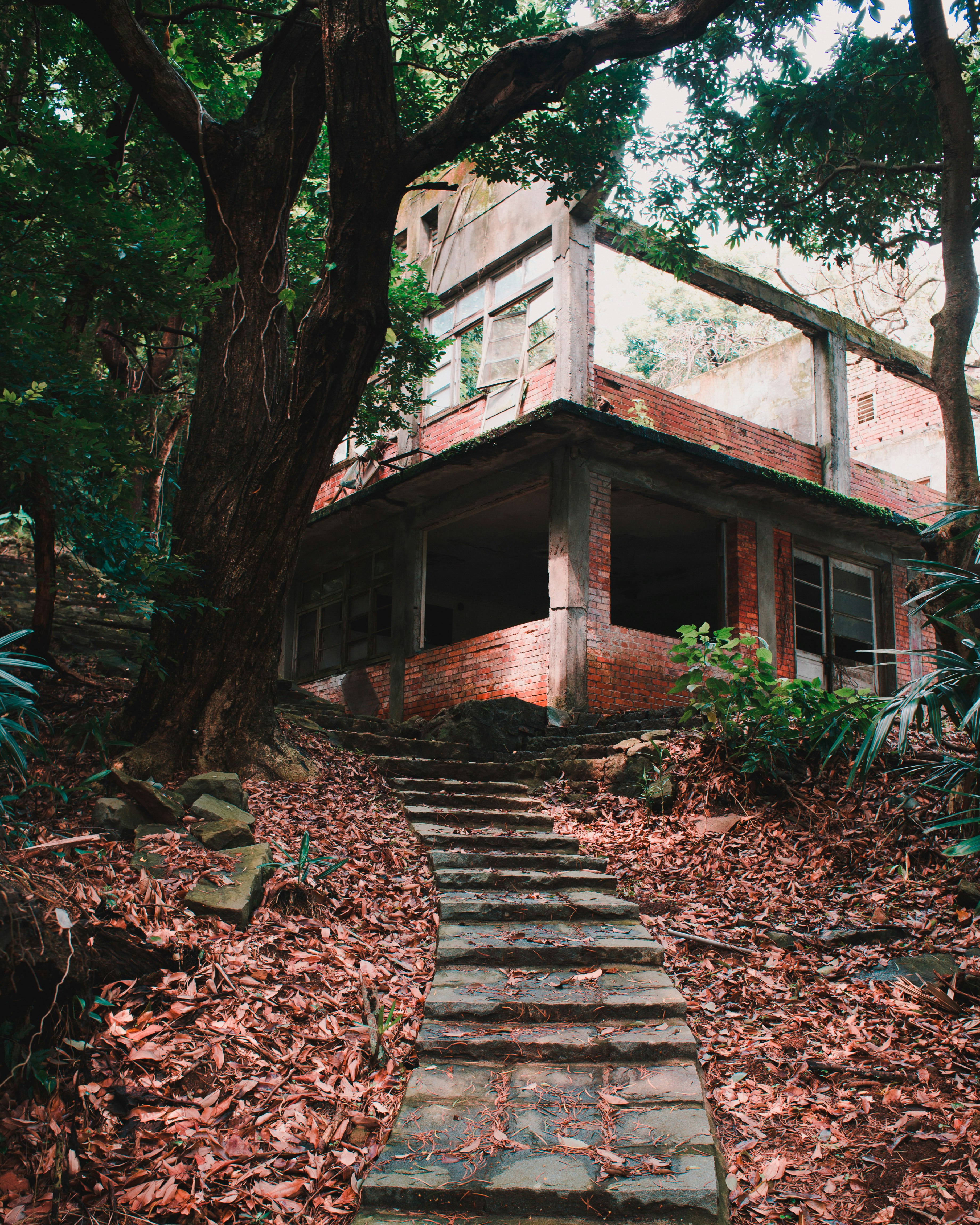 brown wooden house in the woods